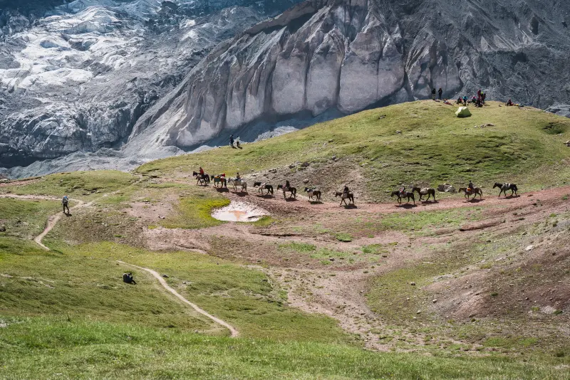 Horse Transport to the Summit Camps