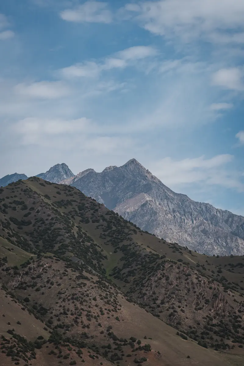 Mountains in the Morning