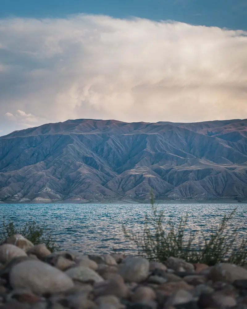 Beauty at the Lake