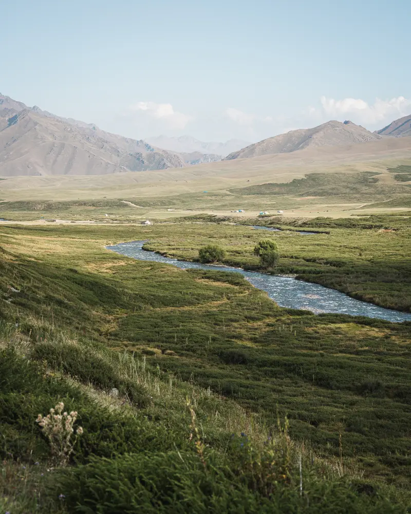 Landscape