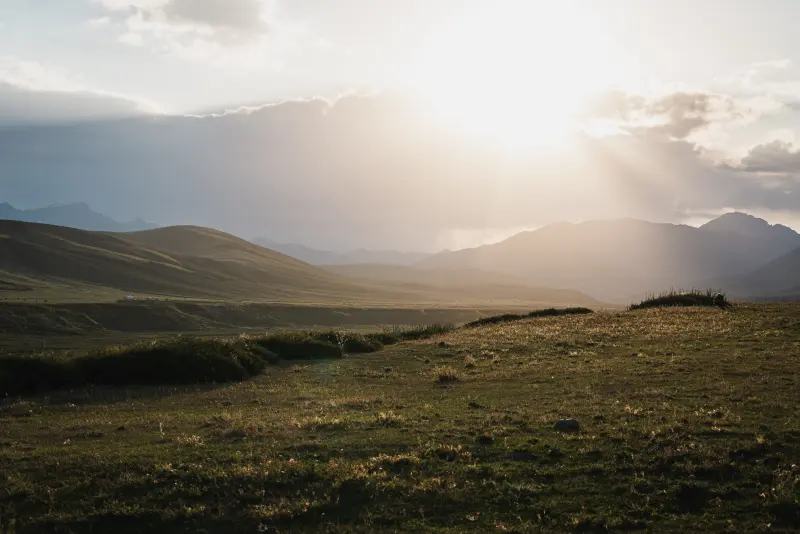 Landscape