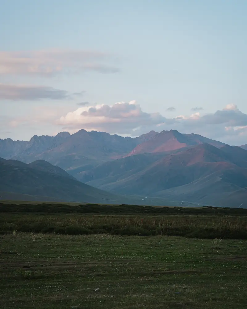 Landscape