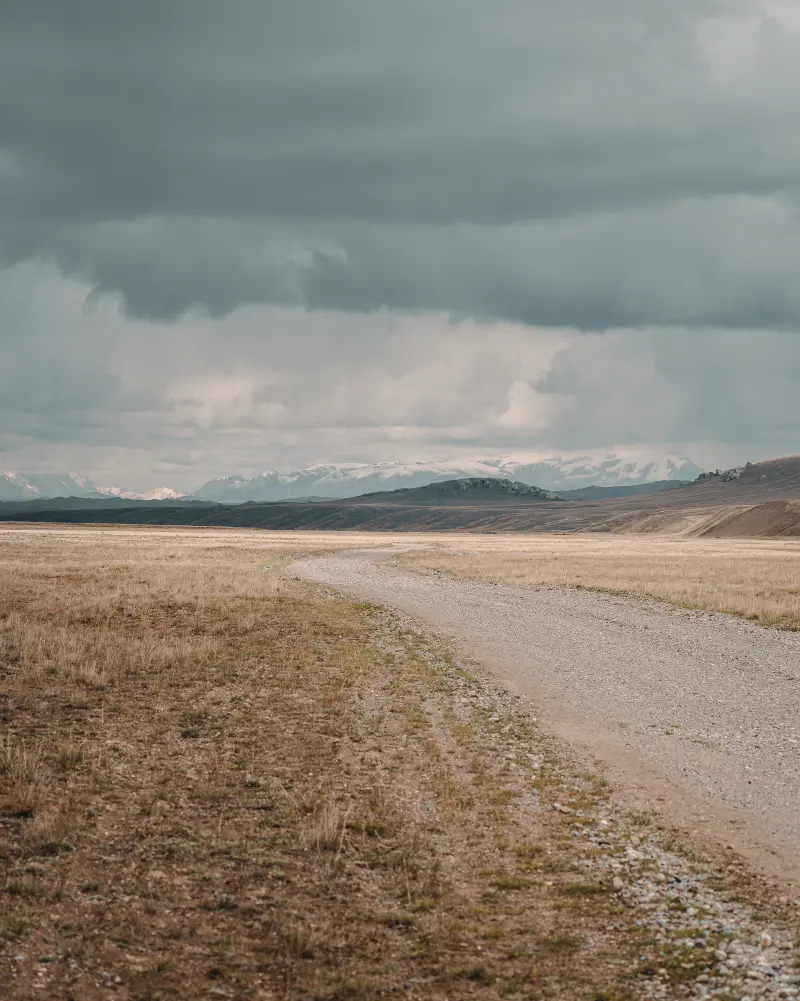 Lonely road
