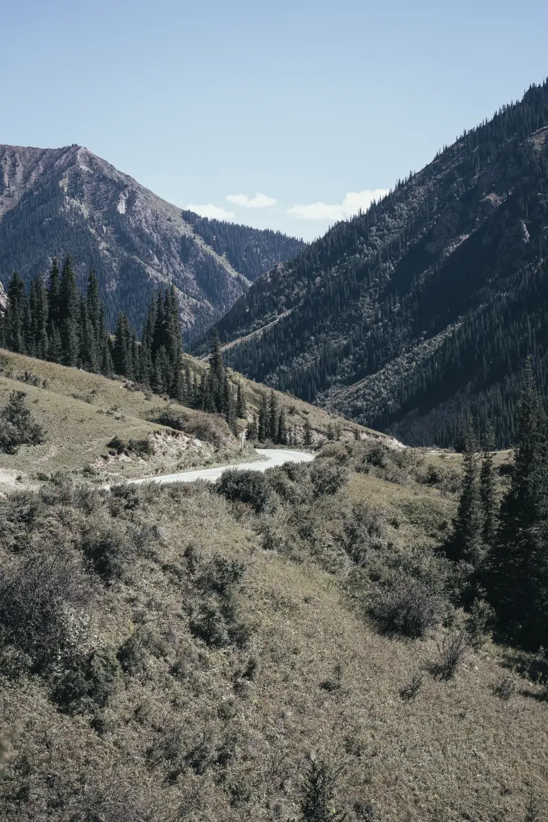 Beautiful valley road