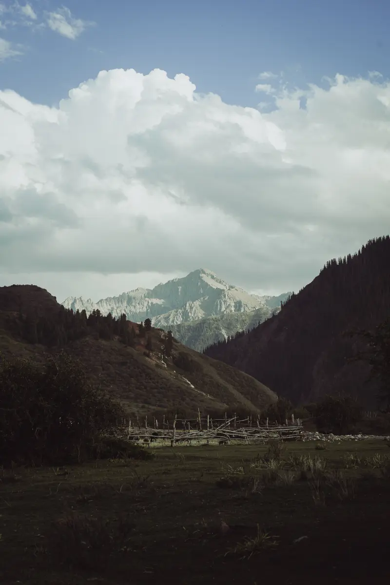Mountain in the background