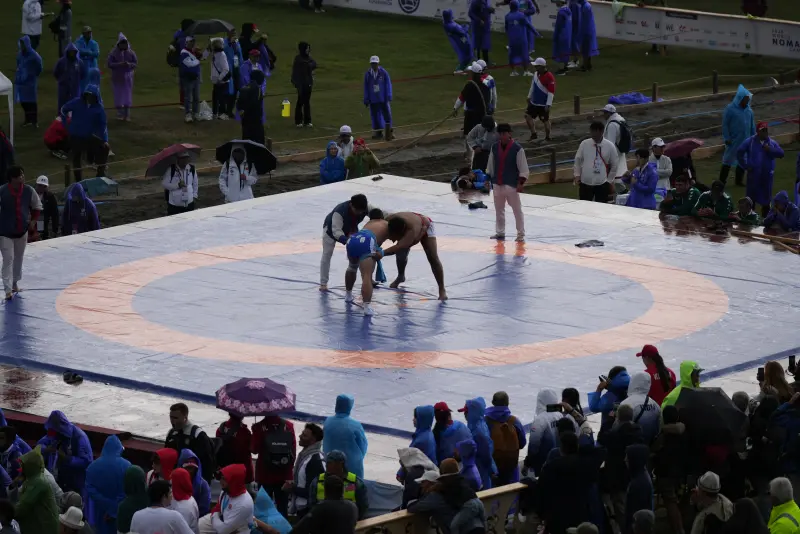 Wrestling