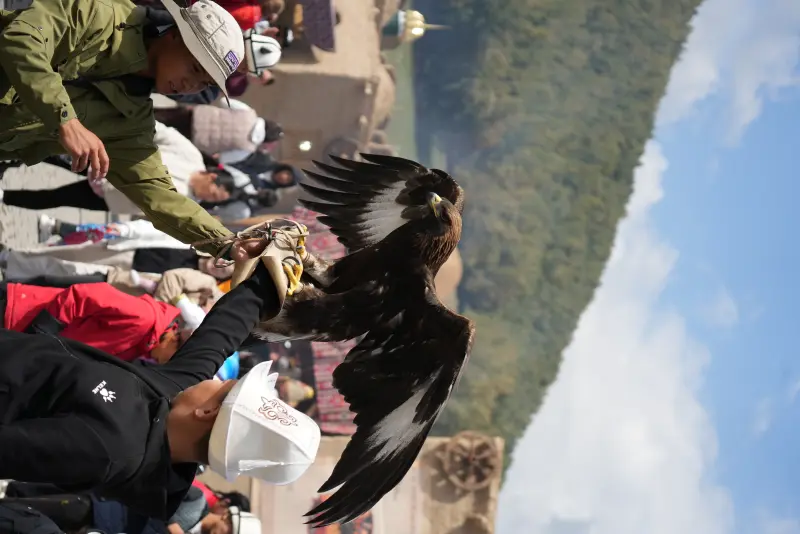 Eagle