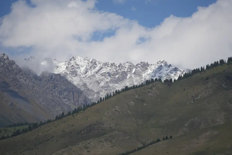 Mountains in the background