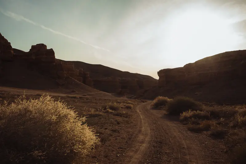 in the canyon