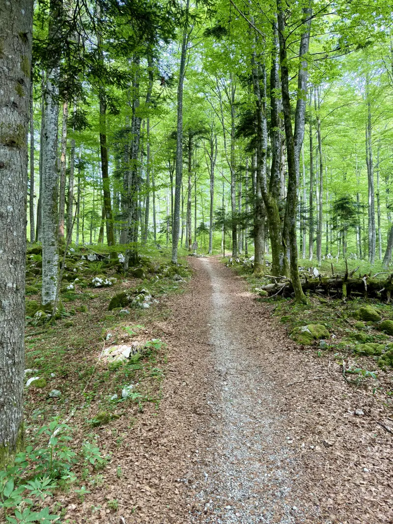 Hiking Trail