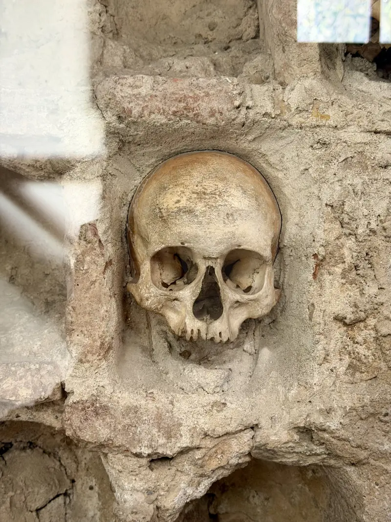 Skull in the Skull Tower