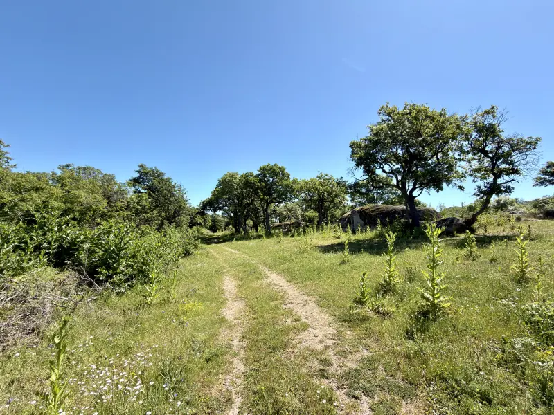 Hike #1
