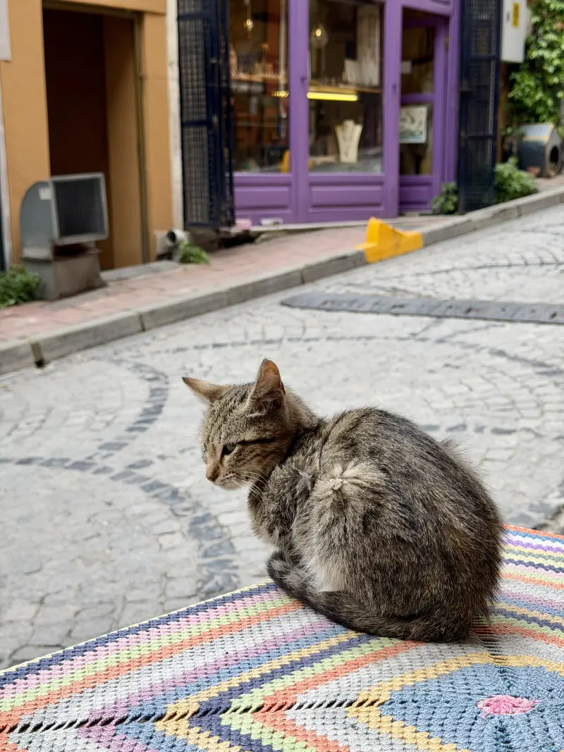 Our friend for lunch