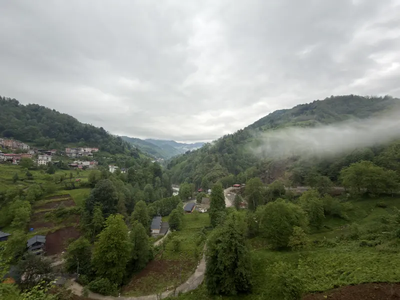 Valley in the morning