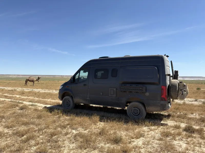 In da Steppe