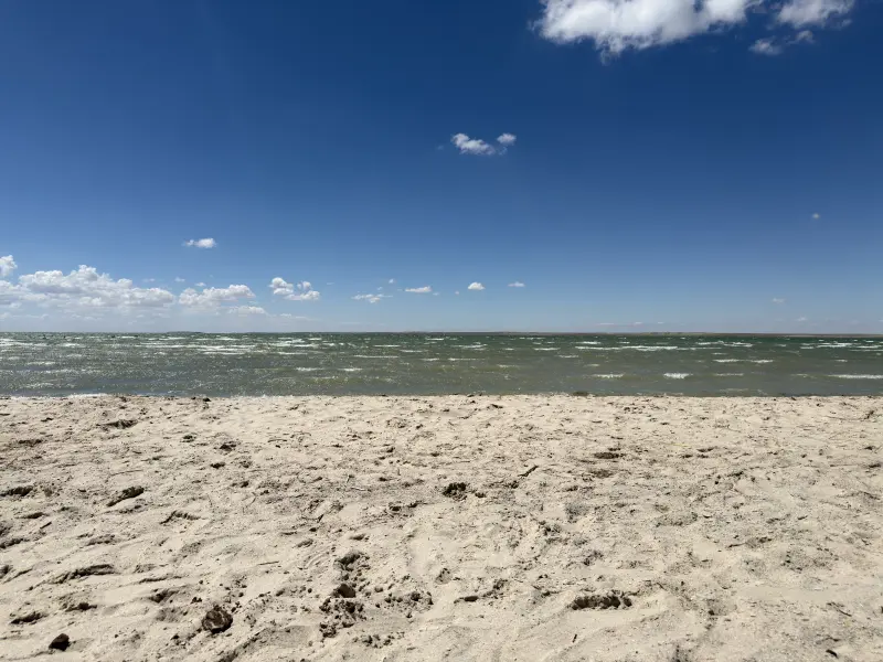 The Beach