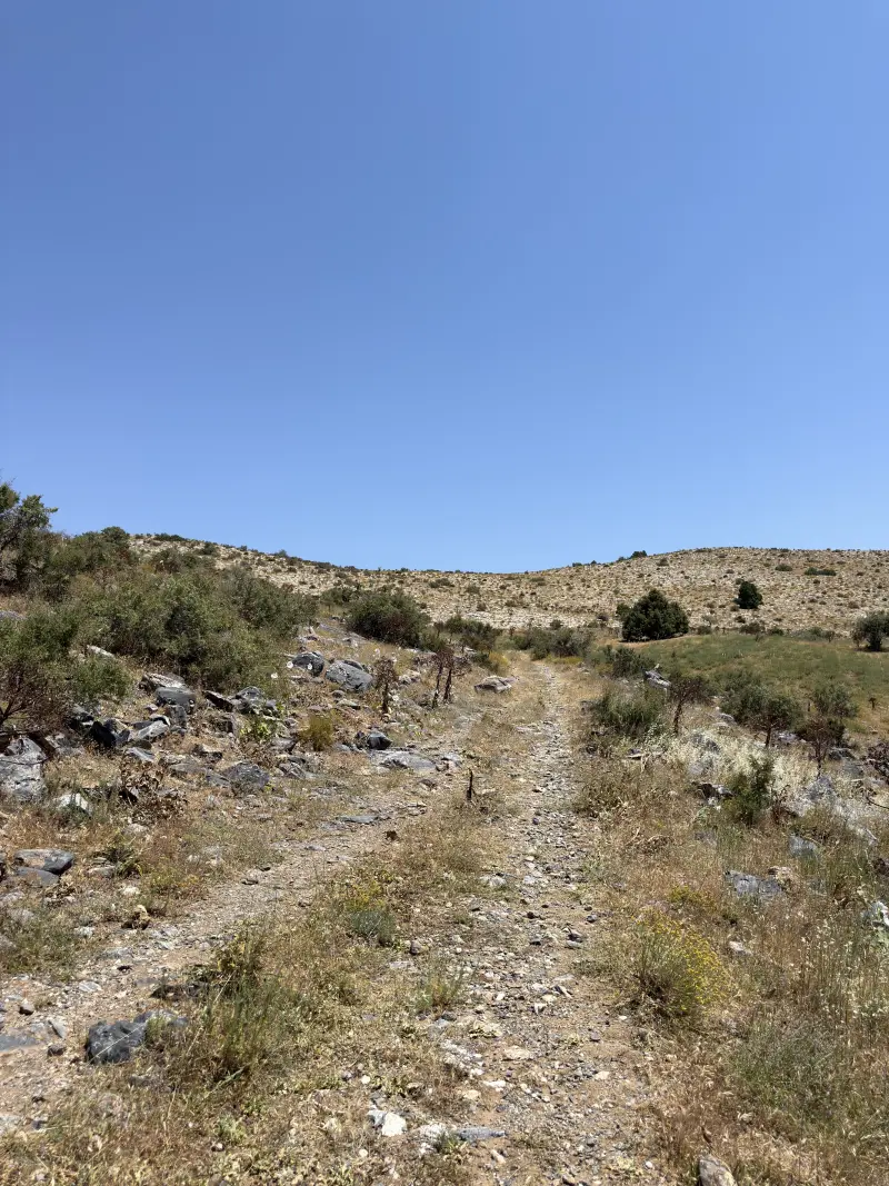 On the hike