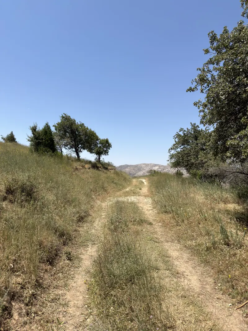On the hike