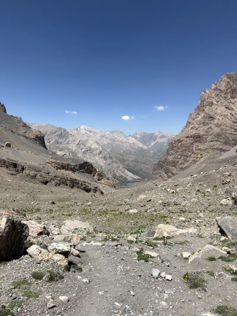 View down