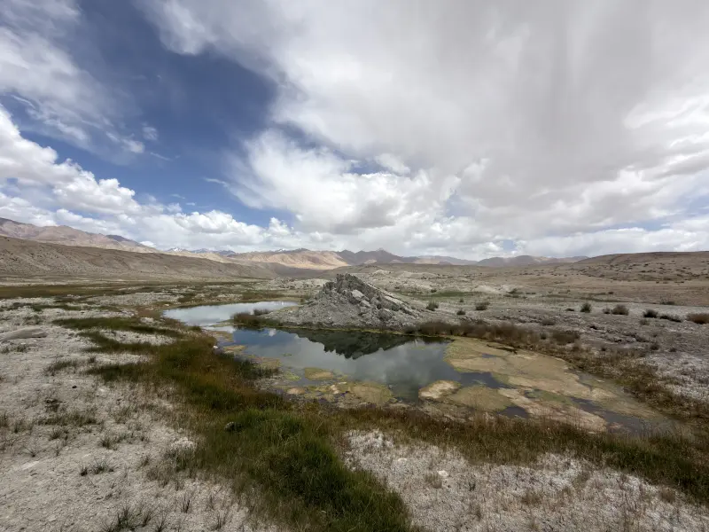 Swampy area