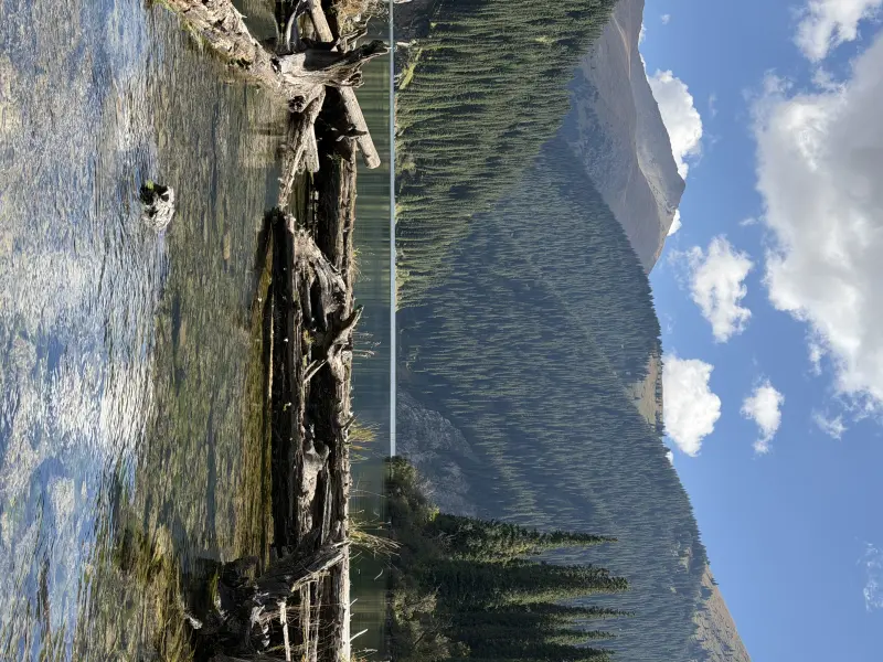 Lower lake