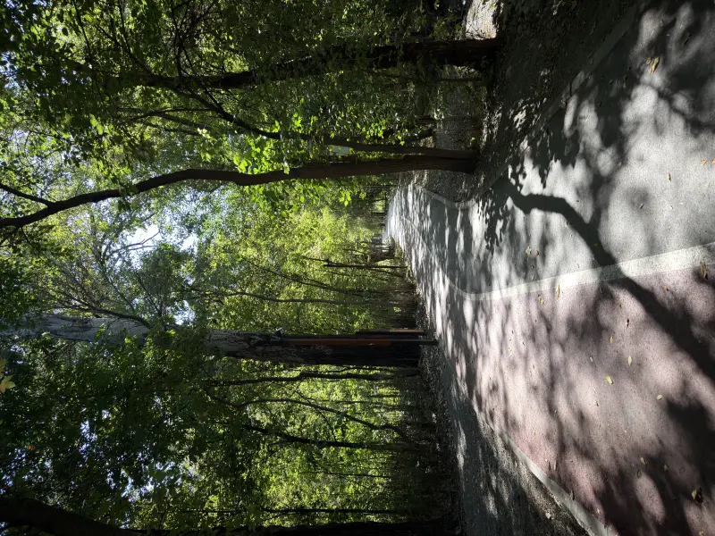 Walk in the Park
