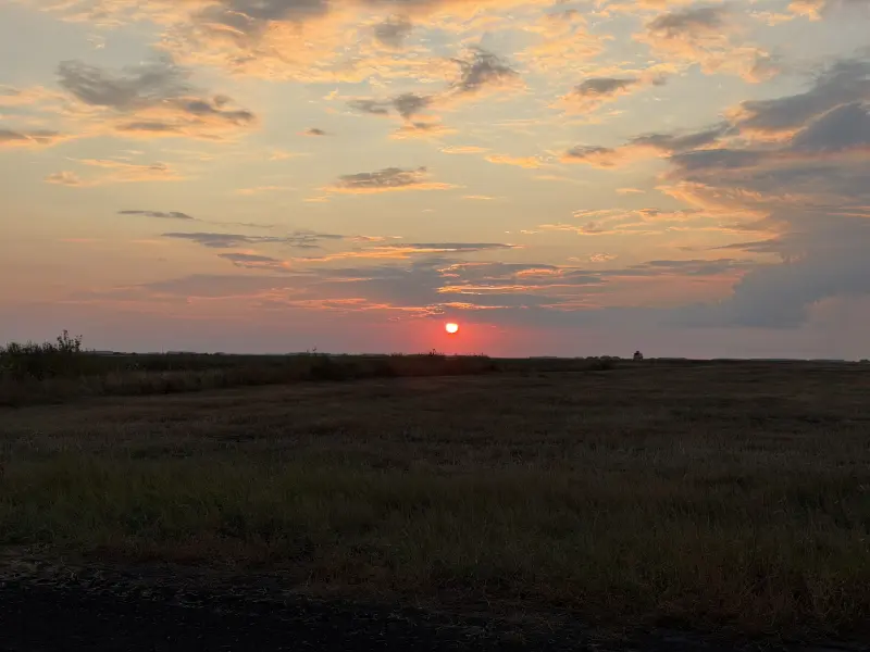 Sunset