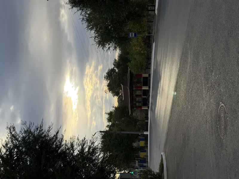 Bus Stop