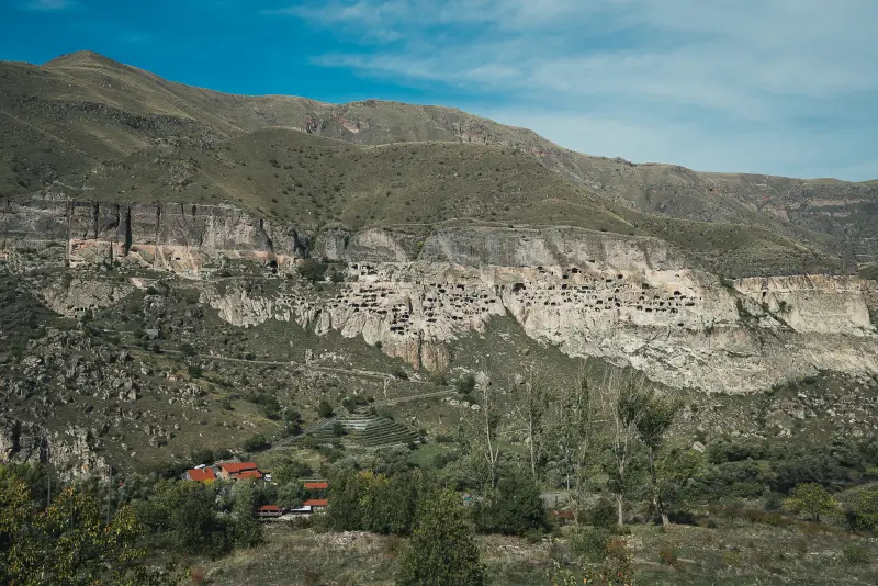 Vardiza