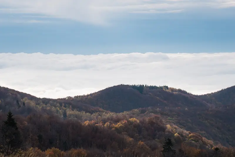 View in the morning from the transalpina