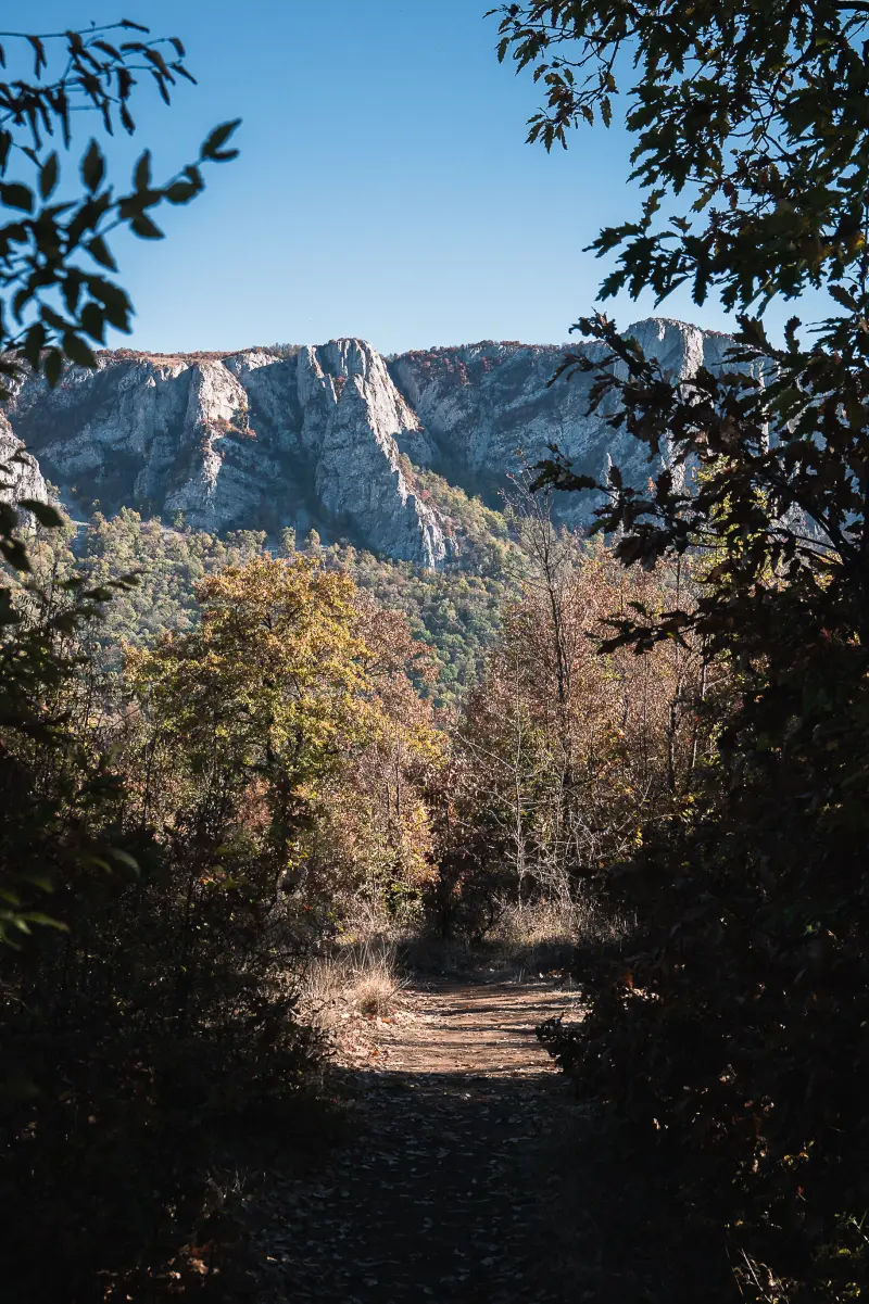 Hiking path