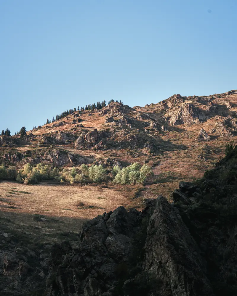 in the mountains