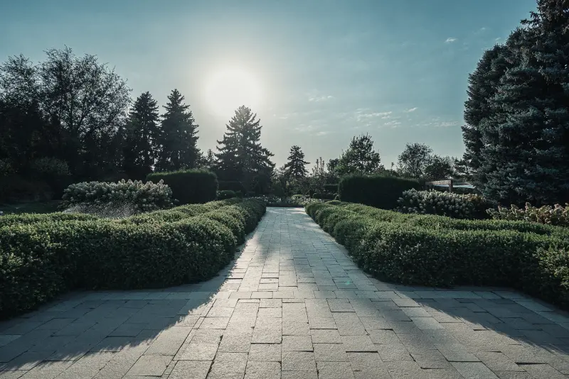 In the Botanical Garden