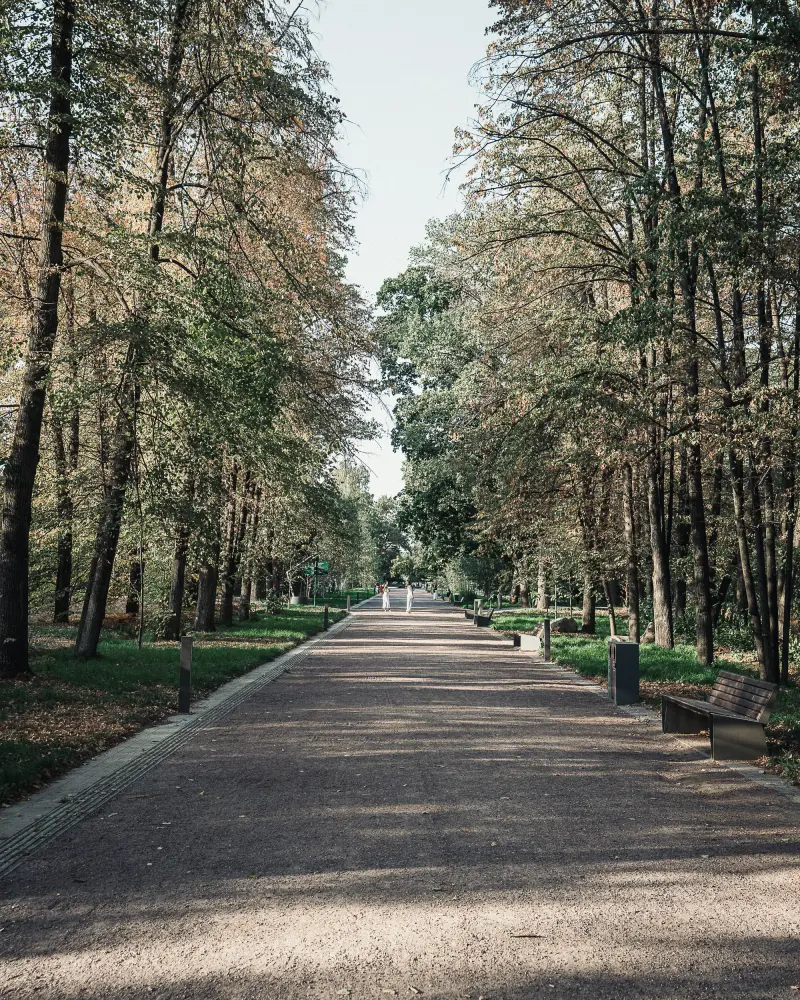 In the Botanical Garden