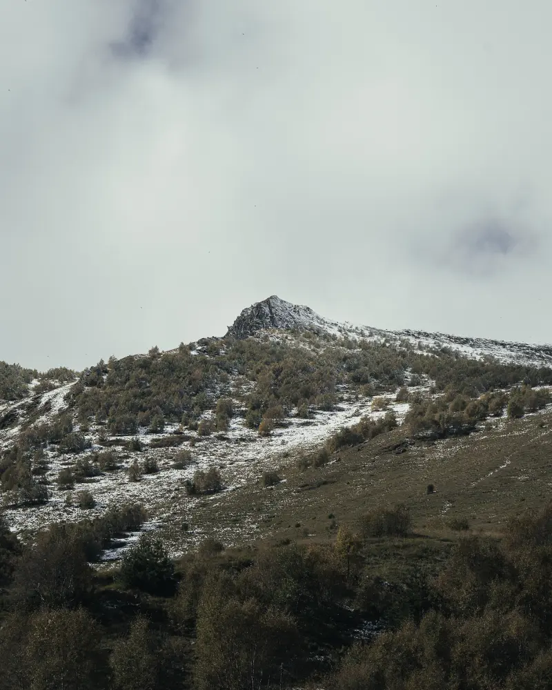 Snow