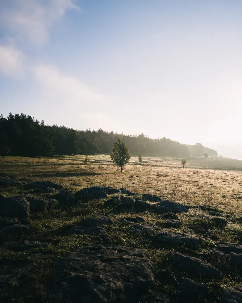 Good morning at Tsalka Green Lake