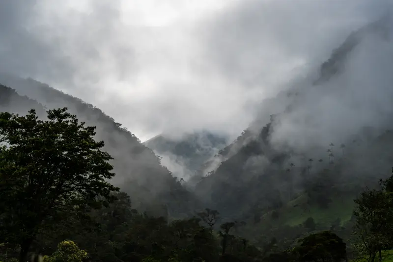 View into rain forest valley