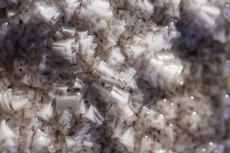 Salty Beach closeup