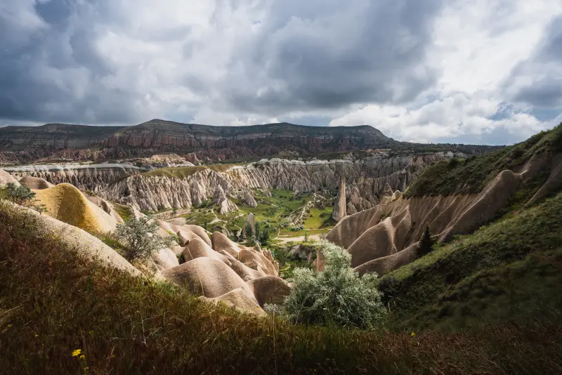 Rose Valley