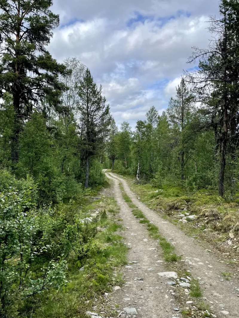 Larger trail leaving Adolfsström