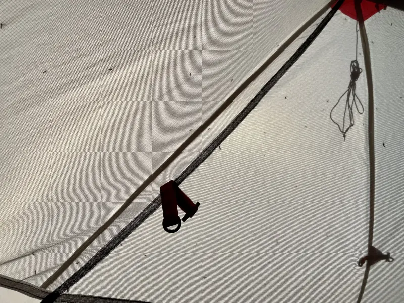 Mosquito infested tent