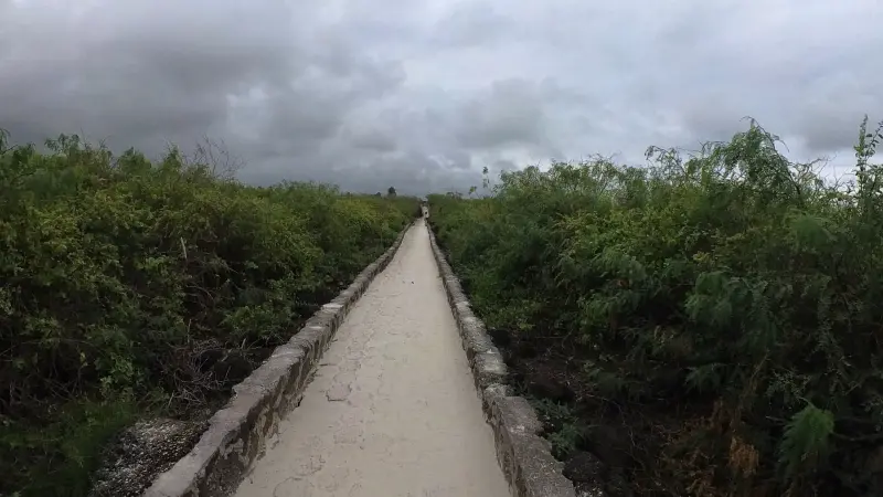 Path to Tortuga Bay Beach
