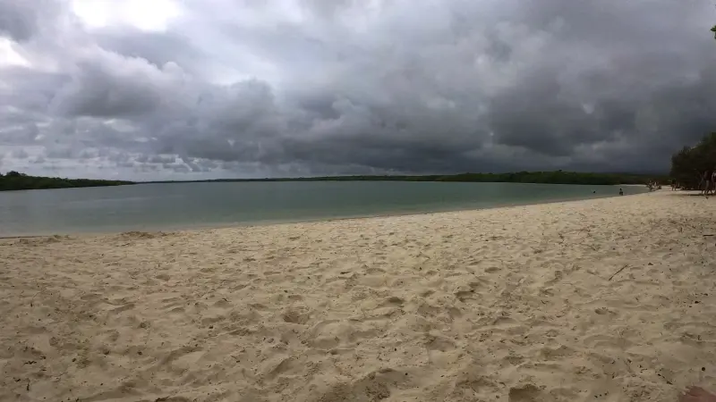 Tortuga Bay Beach