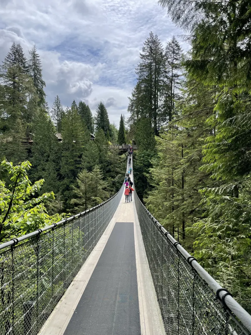 Main suspension bridge