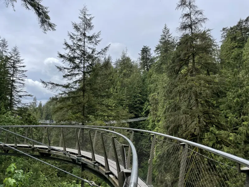 View back from the cliffwalk to the main suspension bridge