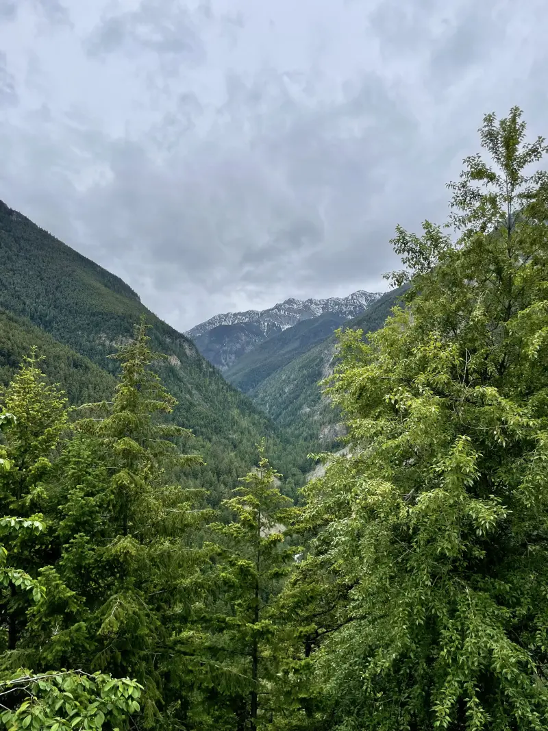 View during driving