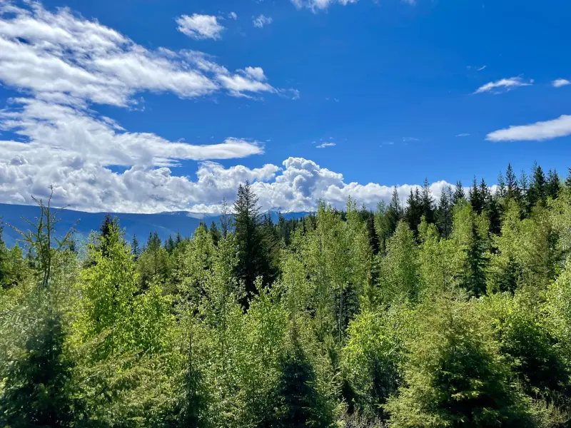 View from the Green Mountain Viewing Tower