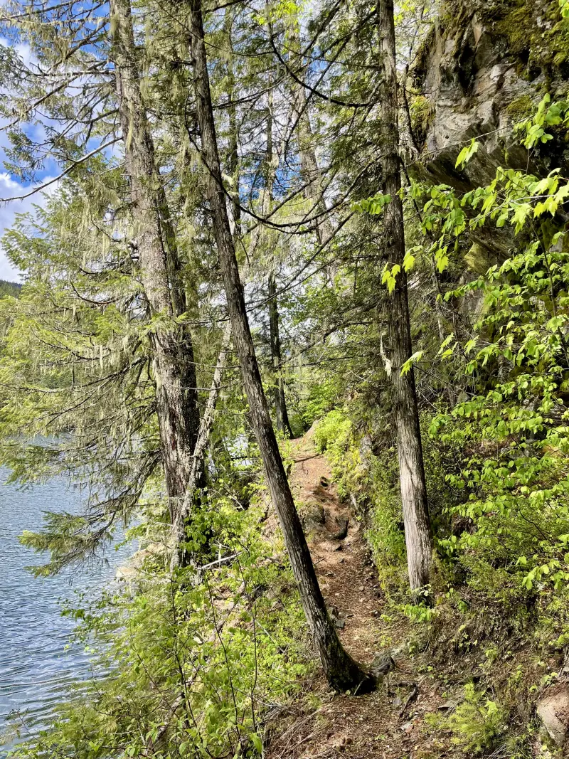 Clearwater River Hike