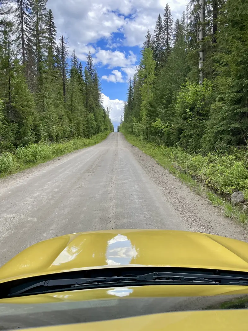 Gravel road in the park