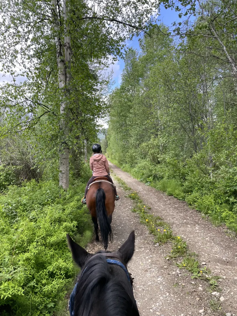 On the trail with the horses